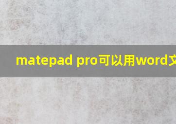 matepad pro可以用word文档吗